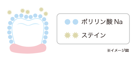 向ヶ丘遊園、登戸の歯医者、近藤歯科でホワイトニング